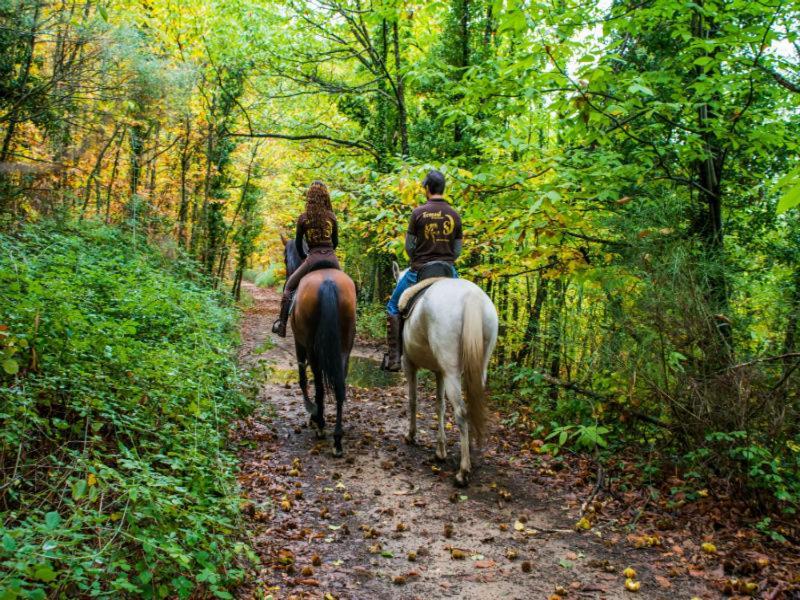 Acogedor Apartamento En El Valle Del Jerte 1 Piornal Zewnętrze zdjęcie